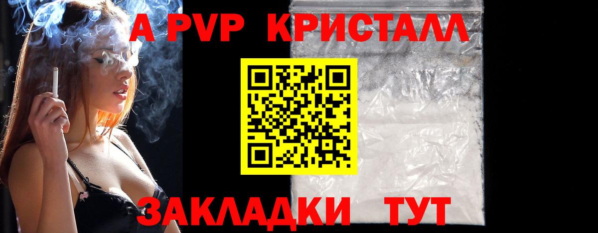A PVP СК КРИС Куйбышев
