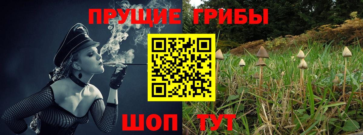 Галлюциногенные грибы Magic Shrooms Куйбышев