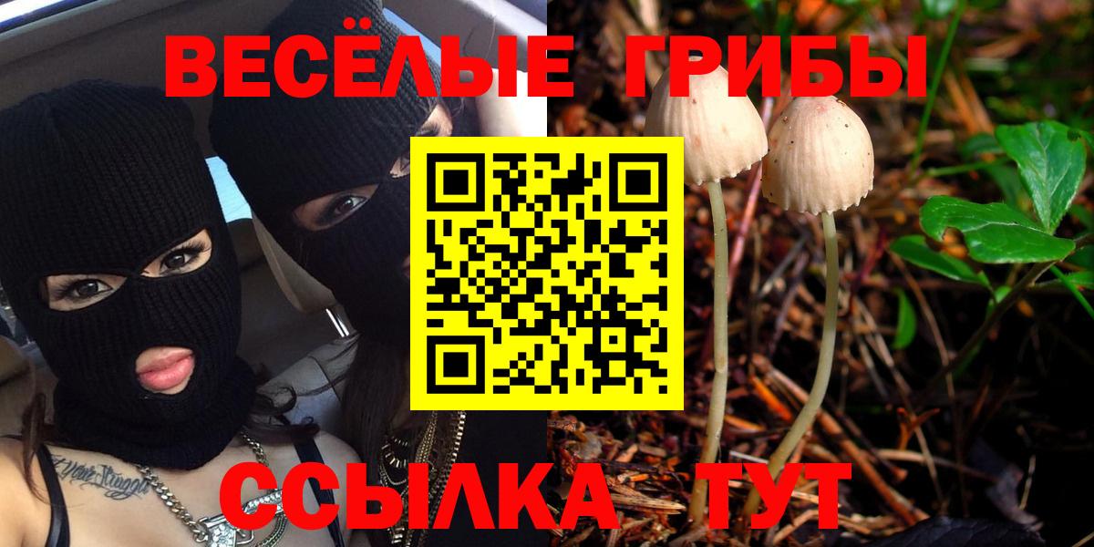 Конопля Куйбышев