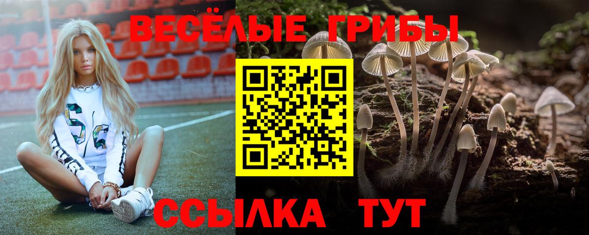 Галлюциногенные грибы Psilocybe  Вход с VPN  Куйбышев 